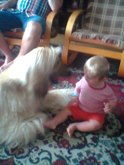 Dogoterapia z dwoma Chartami Afgańskimi