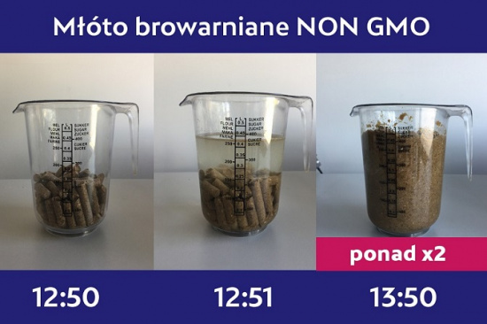 Młóto browarniane suche – wolne od GMO – dostawa od 1 tony