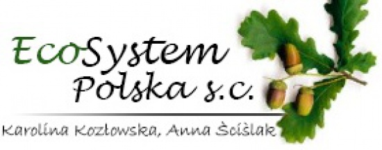 Karta informacyjna przedsięwzięcia skup złomu, złom