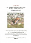 zagiony beagle