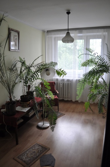 Mieszkanie 4 pokoje, Katowice/1000-lecie górne, 1200 zł