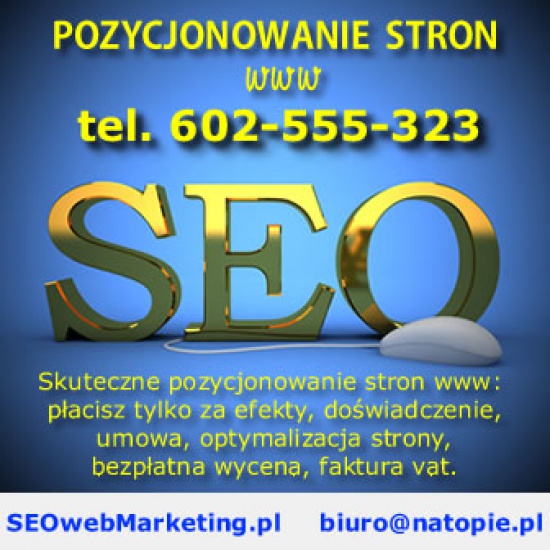 Pozycjonowanie stron www Częstochowa