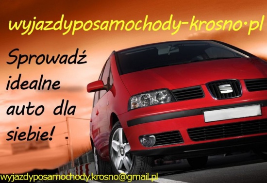 Wyjazdy po tanie samochody
